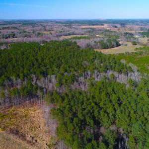 Photo of SOLD!  12.65 Acres of Residential Timber Land For Sale In Granville County NC!