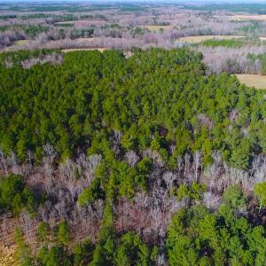 Photo of SOLD!  12.65 Acres of Residential Timber Land For Sale In Granville County NC!