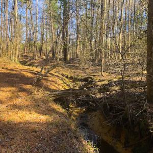 Photo of SOLD!  12.65 Acres of Residential Timber Land For Sale In Granville County NC!