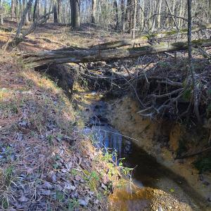 Photo of SOLD!  12.65 Acres of Residential Timber Land For Sale In Granville County NC!