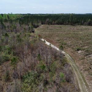 Photo of SOLD!!  111 Acres of Hunting and Timber Land For Sale in Craven County NC!