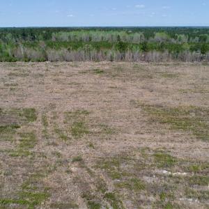 Photo of SOLD!!  111 Acres of Hunting and Timber Land For Sale in Craven County NC!