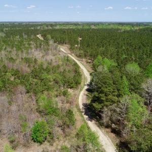Photo of SOLD!!  111 Acres of Hunting and Timber Land For Sale in Craven County NC!