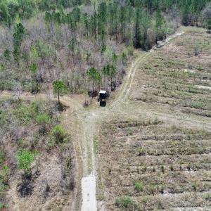 Photo of SOLD!!  111 Acres of Hunting and Timber Land For Sale in Craven County NC!