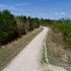Photo of SOLD!!  111 Acres of Hunting and Timber Land For Sale in Craven County NC!
