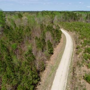 Photo of SOLD!!  111 Acres of Hunting and Timber Land For Sale in Craven County NC!
