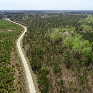 Photo of SOLD!!  111 Acres of Hunting and Timber Land For Sale in Craven County NC!