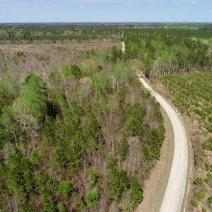 Photo of SOLD!!  111 Acres of Hunting and Timber Land For Sale in Craven County NC!