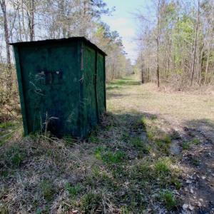 Photo of SOLD!!  111 Acres of Hunting and Timber Land For Sale in Craven County NC!