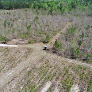 Photo of SOLD!!  111 Acres of Hunting and Timber Land For Sale in Craven County NC!