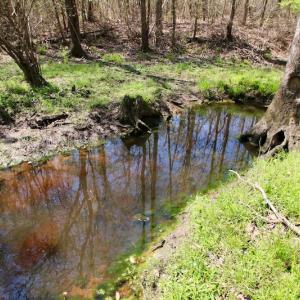 Photo of SOLD!!  111 Acres of Hunting and Timber Land For Sale in Craven County NC!