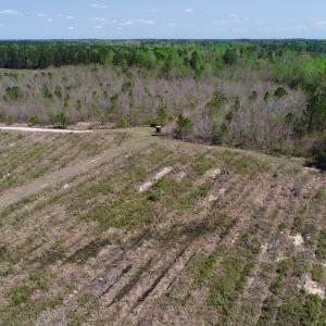 Photo of SOLD!!  111 Acres of Hunting and Timber Land For Sale in Craven County NC!