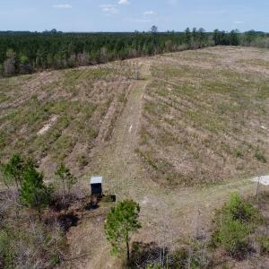 Photo of SOLD!!  111 Acres of Hunting and Timber Land For Sale in Craven County NC!
