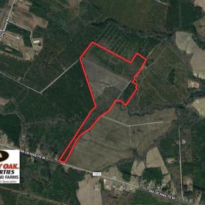 Photo of SOLD!!  111 Acres of Hunting and Timber Land For Sale in Craven County NC!