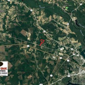 Photo of SOLD!!  111 Acres of Hunting and Timber Land For Sale in Craven County NC!