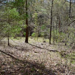Photo of UNDER CONTRACT!  6 Acres of Hunting and Recreational Land with Cabin For Sale in Amherst County VA!