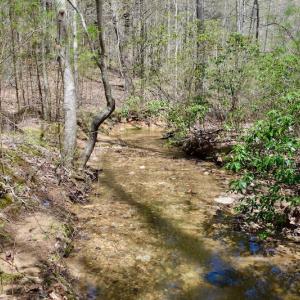 Photo of UNDER CONTRACT!  6 Acres of Hunting and Recreational Land with Cabin For Sale in Amherst County VA!