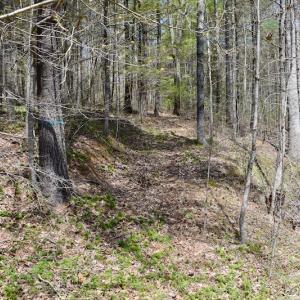 Photo of UNDER CONTRACT!  6 Acres of Hunting and Recreational Land with Cabin For Sale in Amherst County VA!