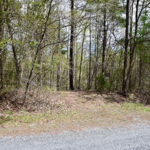 Photo of UNDER CONTRACT!  6 Acres of Hunting and Recreational Land with Cabin For Sale in Amherst County VA!