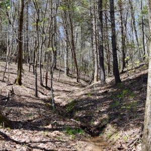 Photo of UNDER CONTRACT!  6 Acres of Hunting and Recreational Land with Cabin For Sale in Amherst County VA!