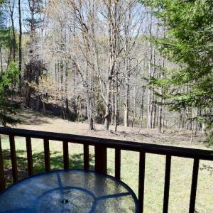 Photo of UNDER CONTRACT!  6 Acres of Hunting and Recreational Land with Cabin For Sale in Amherst County VA!