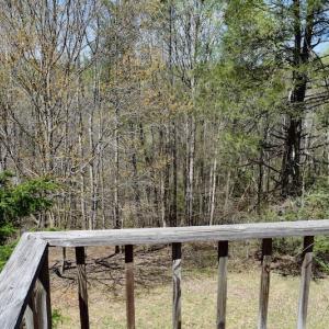Photo of UNDER CONTRACT!  6 Acres of Hunting and Recreational Land with Cabin For Sale in Amherst County VA!