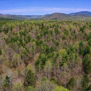 Photo of UNDER CONTRACT!  6 Acres of Hunting and Recreational Land with Cabin For Sale in Amherst County VA!