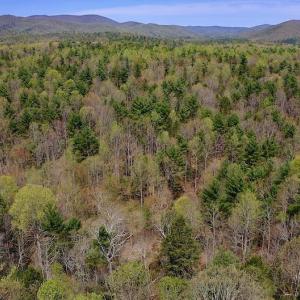 Photo of UNDER CONTRACT!  6 Acres of Hunting and Recreational Land with Cabin For Sale in Amherst County VA!