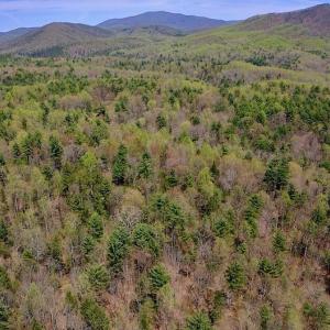Photo of UNDER CONTRACT!  6 Acres of Hunting and Recreational Land with Cabin For Sale in Amherst County VA!