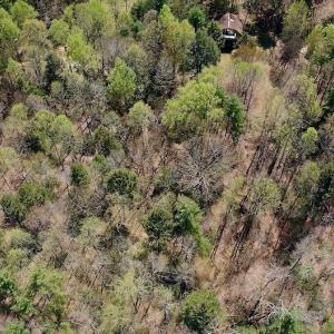 Photo of UNDER CONTRACT!  6 Acres of Hunting and Recreational Land with Cabin For Sale in Amherst County VA!