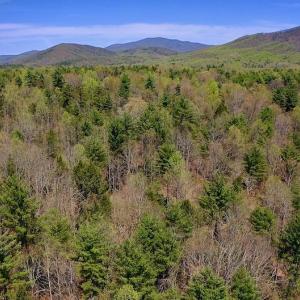 Photo of UNDER CONTRACT!  6 Acres of Hunting and Recreational Land with Cabin For Sale in Amherst County VA!