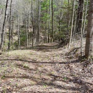 Photo of UNDER CONTRACT!  6 Acres of Hunting and Recreational Land with Cabin For Sale in Amherst County VA!