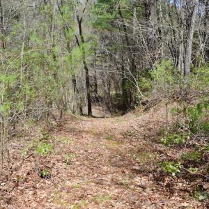 Photo of UNDER CONTRACT!  6 Acres of Hunting and Recreational Land with Cabin For Sale in Amherst County VA!