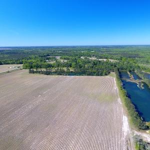 Photo of UNDER CONTRACT!  97.15 Acres of Farm and Hunting Land For Sale in Columbus County NC!