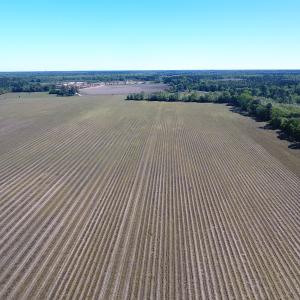 Photo of UNDER CONTRACT!  97.15 Acres of Farm and Hunting Land For Sale in Columbus County NC!