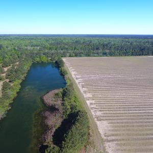 Photo of UNDER CONTRACT!  97.15 Acres of Farm and Hunting Land For Sale in Columbus County NC!