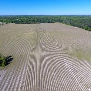 Photo of UNDER CONTRACT!  97.15 Acres of Farm and Hunting Land For Sale in Columbus County NC!