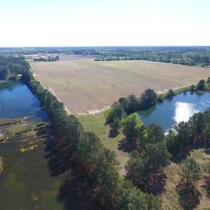 Photo of UNDER CONTRACT!  97.15 Acres of Farm and Hunting Land For Sale in Columbus County NC!