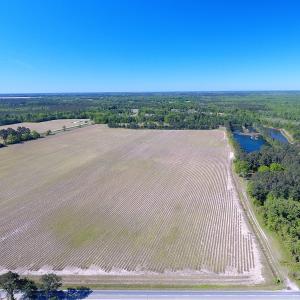 Photo of UNDER CONTRACT!  97.15 Acres of Farm and Hunting Land For Sale in Columbus County NC!