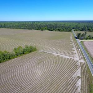 Photo of UNDER CONTRACT!  97.15 Acres of Farm and Hunting Land For Sale in Columbus County NC!