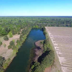 Photo of UNDER CONTRACT!  97.15 Acres of Farm and Hunting Land For Sale in Columbus County NC!