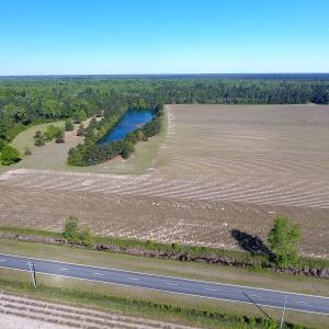 Photo of UNDER CONTRACT!  97.15 Acres of Farm and Hunting Land For Sale in Columbus County NC!