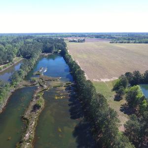 Photo of UNDER CONTRACT!  97.15 Acres of Farm and Hunting Land For Sale in Columbus County NC!