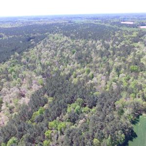 Photo of UNDER CONTRACT!  22 Acres of Residential and Recreational Land For Sale in Suffolk VA!