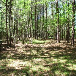 Photo of UNDER CONTRACT!  22 Acres of Residential and Recreational Land For Sale in Suffolk VA!
