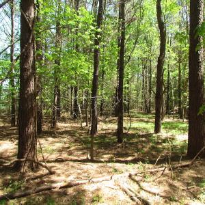 Photo of UNDER CONTRACT!  22 Acres of Residential and Recreational Land For Sale in Suffolk VA!