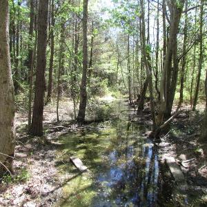 Photo of UNDER CONTRACT!  22 Acres of Residential and Recreational Land For Sale in Suffolk VA!