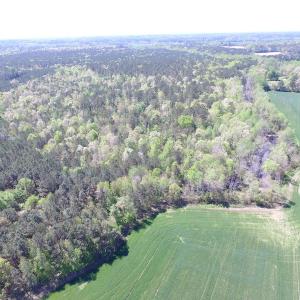 Photo of UNDER CONTRACT!  22 Acres of Residential and Recreational Land For Sale in Suffolk VA!