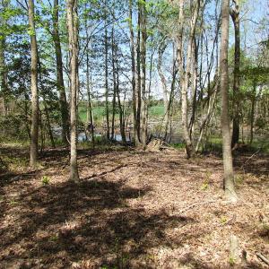 Photo of UNDER CONTRACT!  22 Acres of Residential and Recreational Land For Sale in Suffolk VA!
