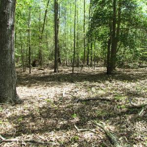 Photo of UNDER CONTRACT!  22 Acres of Residential and Recreational Land For Sale in Suffolk VA!